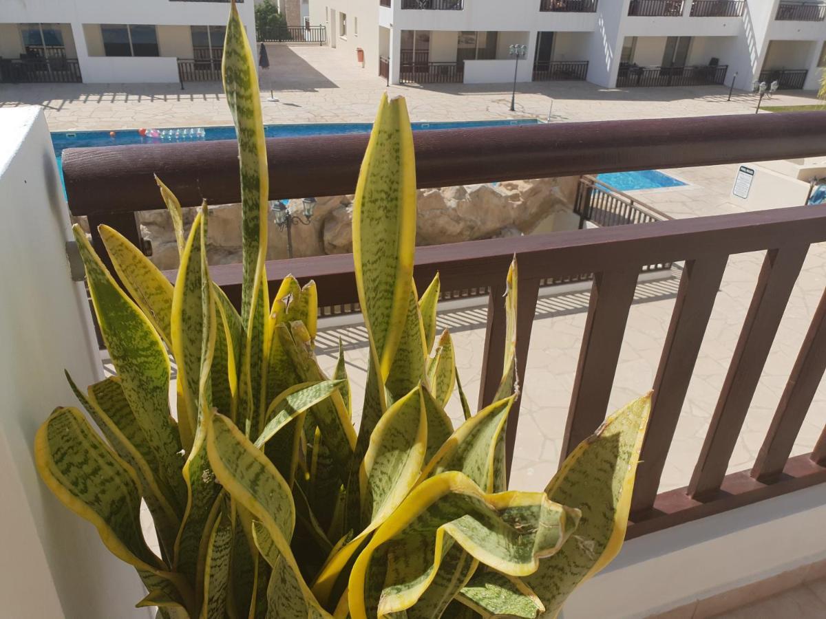 Stunning Apartment C106 With Balcony Looking Over Pool Peyia Esterno foto